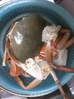 Make Roller crab step 0