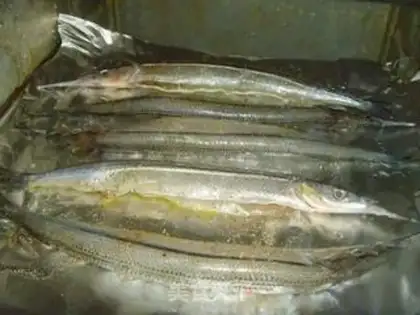 Make Salt roasted fish step 3