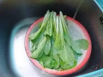 Make Fry mushrooms and cabbage step 0