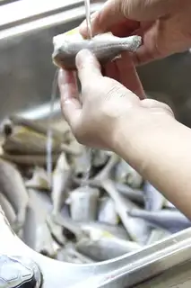 Make Snack, yellow fish step 0