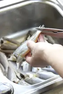 Make Snack, yellow fish step 3