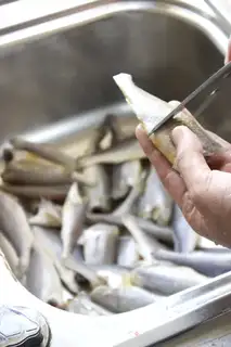 Make Snack, yellow fish step 4