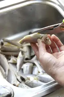 Make Snack, yellow fish step 5