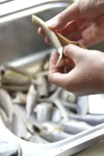 Make Snack, yellow fish step 6