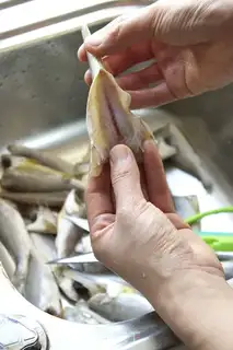 Make Snack, yellow fish step 7