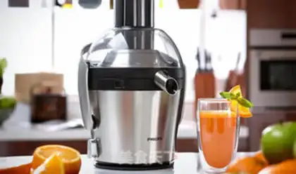 Make Sweet melon celery ginger juice step 1