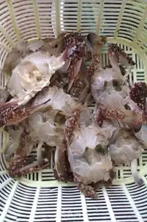 Make Fresh crabs step 1