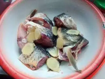 Make Sourfish step 1