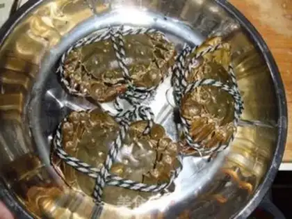 Make Crabs step 0