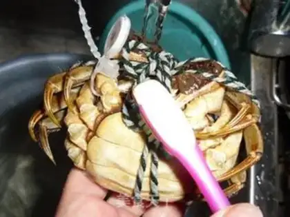 Make Crabs step 1