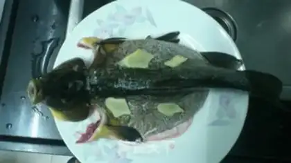 Make Vacuated gemfish step 1
