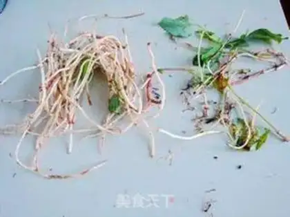 Make Pyramid fish and grass step 0