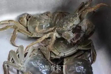 Make Crabs step 0
