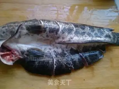 Make Blackfish step 0