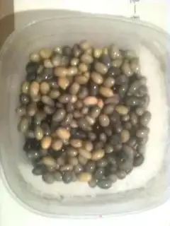 Make step 1