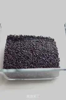 Make Violet Tower step 0