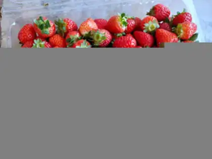 Make ♪ ♪ Western red silk melon ♪ step 5
