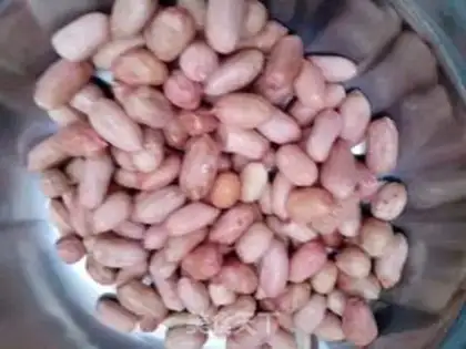Make Spam step 1
