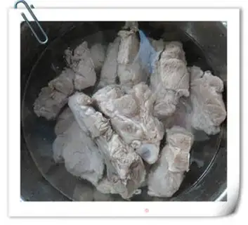 Make Soy spinal cord step 2