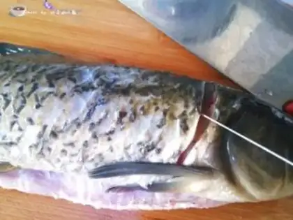 Make Fish step 1