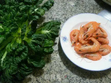 Make Shrimp turquoise step 0