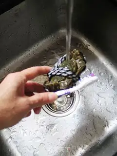 Make Salt crabs step 1