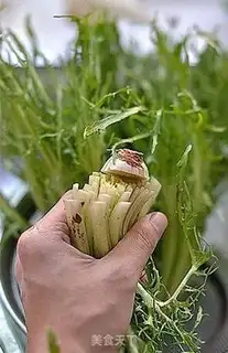 Make Silver salad step 1