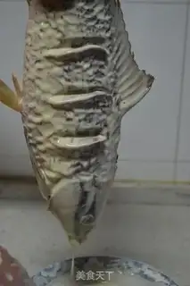 Make Jealous carp step 13