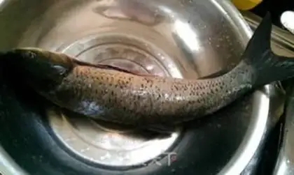 Make Fried fish fries step 0