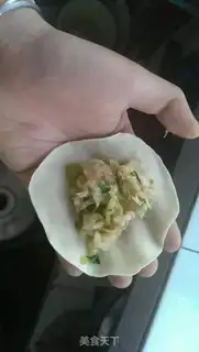 Make Homemade dumplings step 13