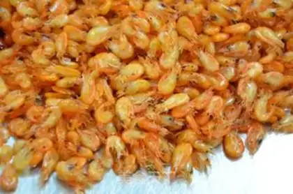 Make Shrimp step 1