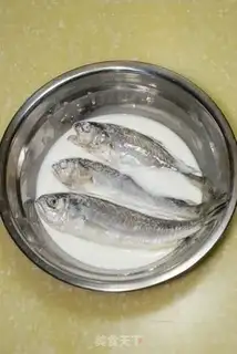 Make Yellowfish step 2