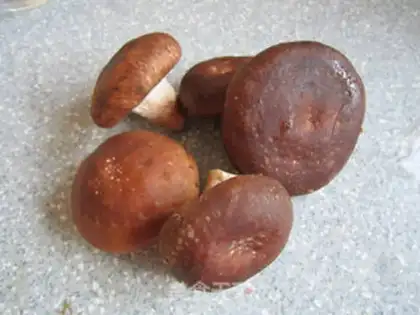 Make Pelican mushrooms step 0