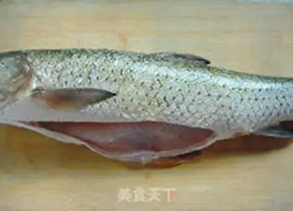 Make Detailed Fish Step step 0
