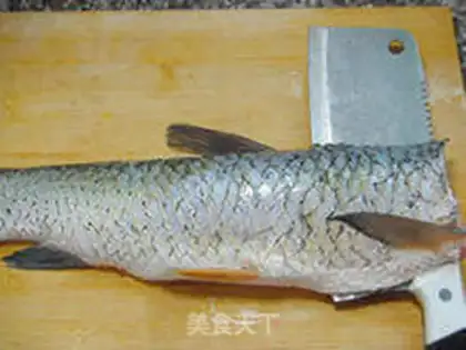 Make Detailed Fish Step step 6