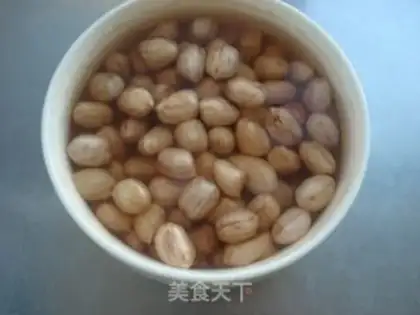 Make Phalogen step 1