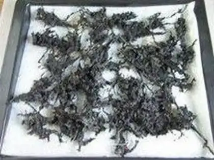 Make Seaweed pinecake step 3