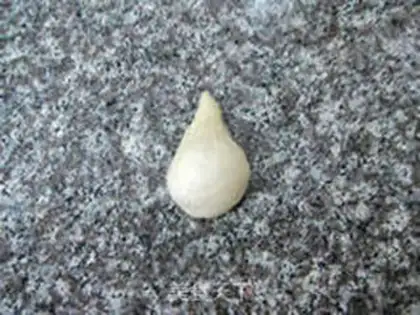 Make Oatmeal sesame pack step 5