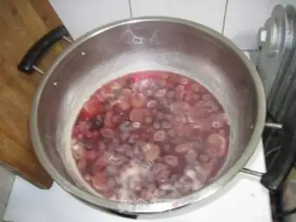 Make grape juice and wine step 1