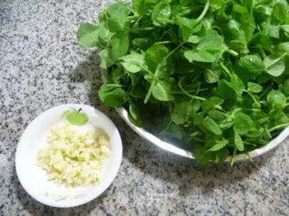 Make Garlic bean seed step 0