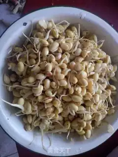 Make Soy sauce, soybeans step 0