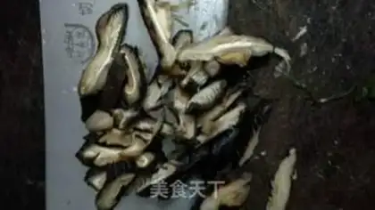 Make The mushrooms, the silks, the sea step 4