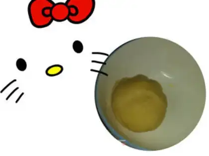 Make Cookie step 9