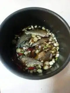 Make Cannonfish step 4