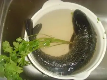 Make Sourfish step 0
