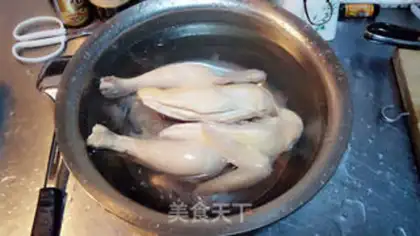 Make White pheasant step 6
