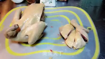 Make White pheasant step 7