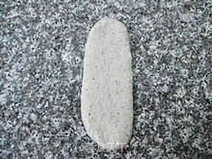 Make A greasy rice paste with dried toast step 17