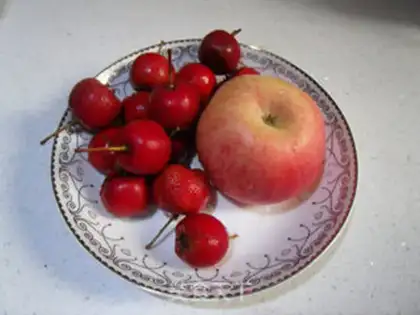 Make Apple Mountain step 0