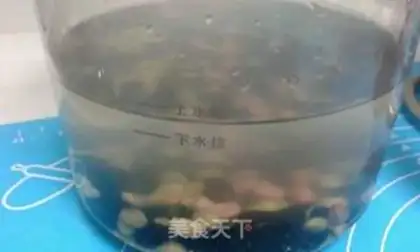 Make Five grains of soya step 2